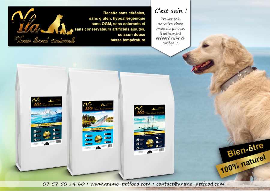 croquettes-pour-chien-avec-problemes-de peau